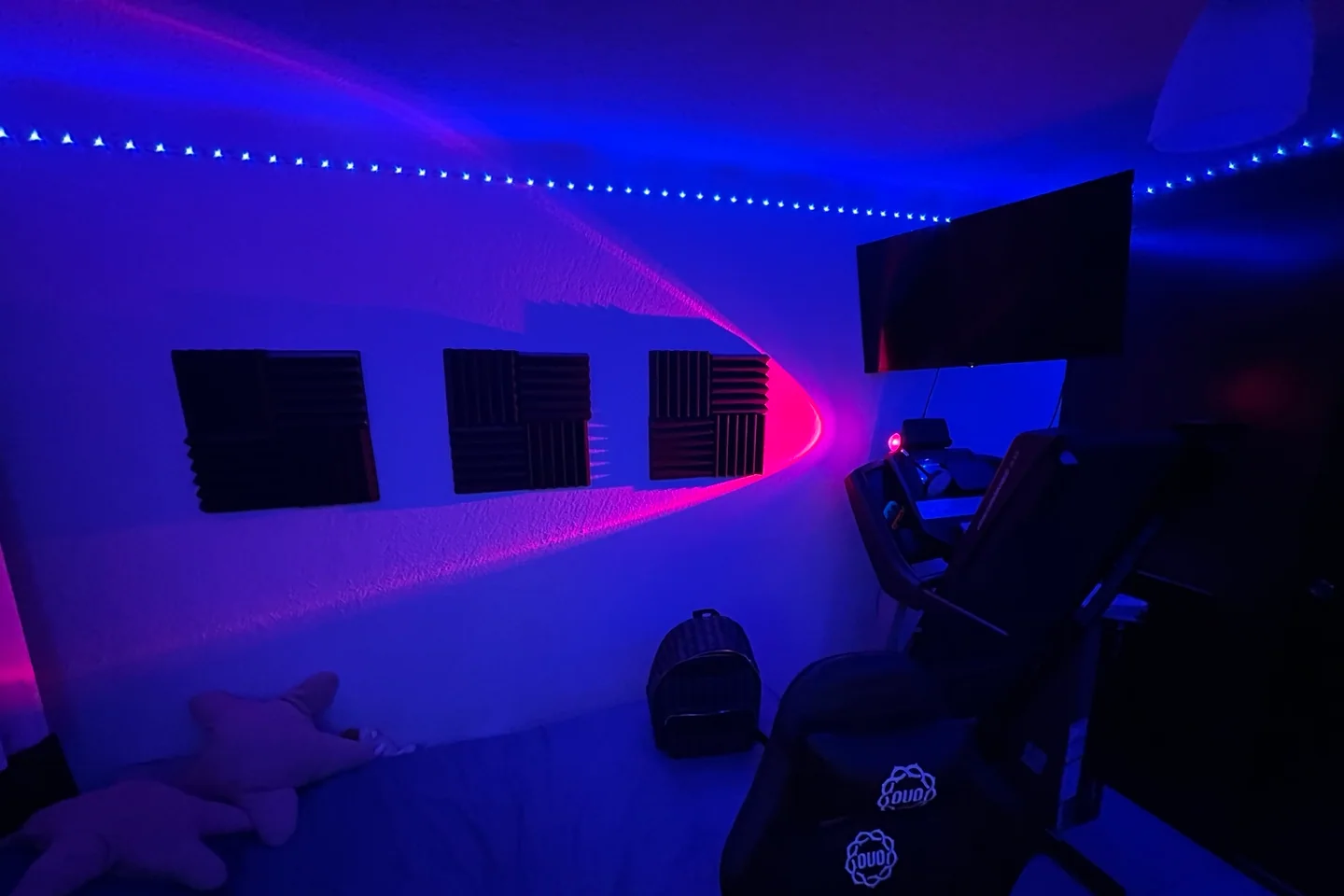 Pared acústica iluminada en azul y magenta dentro de Utópica Studio